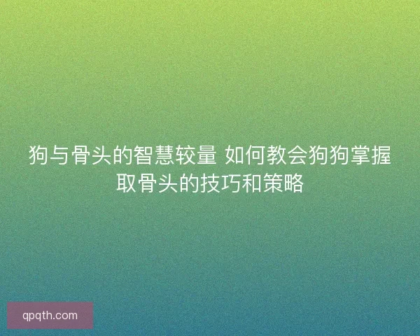 狗与骨头的智慧较量 如何教会狗狗掌握取骨头的技巧和策略